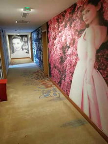 平頂山未來精品酒店（原未來商務快捷酒店）預訂指南 價格、點評、電話及地址